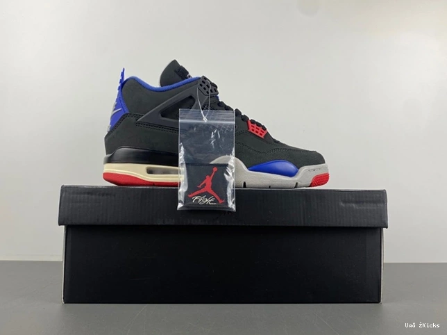 “Rare Air” Air Jordan 2456 4 430 FV5029- Timeless 0710
